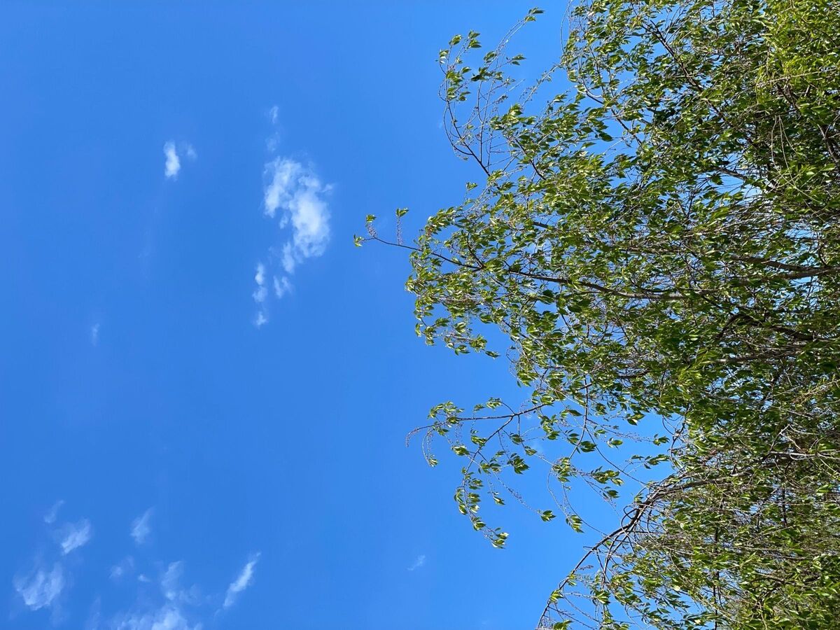 Weekend Weather Forecast