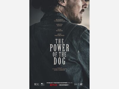 The Power of the Dog: A Slow and Somber Western