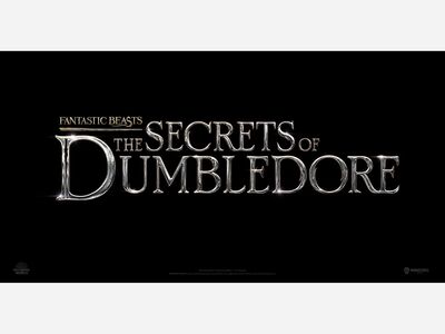 Fantastic Beasts: The Secrets of Dumbledore: An Improvement But Not By Much
