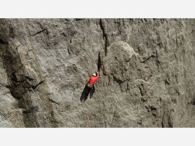 Weekly Streaming Recap: Week of July 29th, 2022