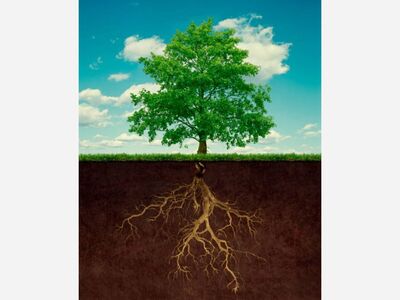 The Root Cause of High Costs