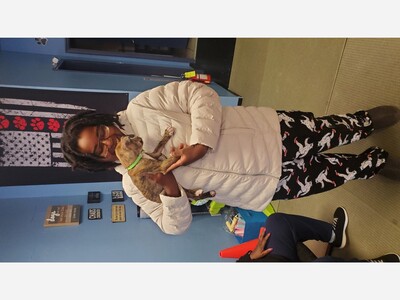 Paws of War – Canines on a Mission