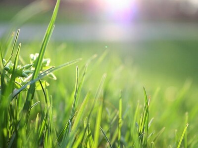 Earth Day is Every Day